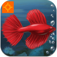 fish-tycoon