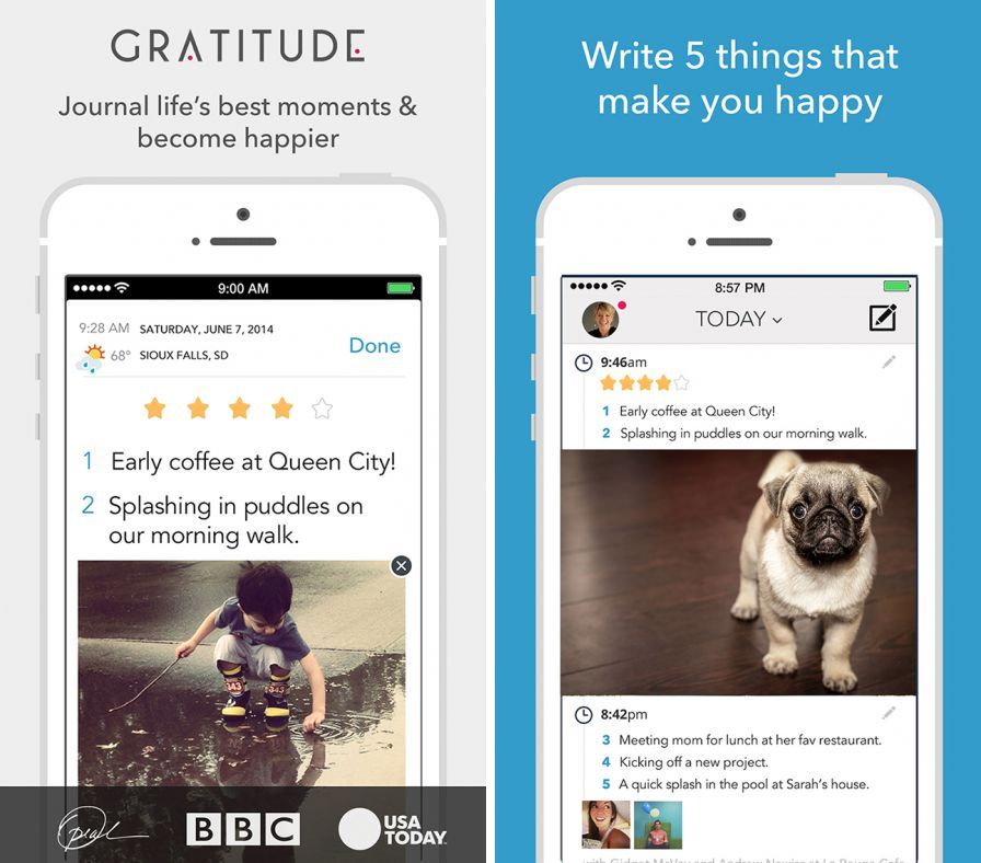 gratitude-journal-the-original ipa