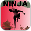 ninja-shadow-1