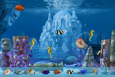 colorful-aquarium colorful-aquarium