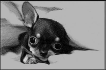 easy-sketch easy-sketch