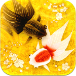 wa-kingyo-poisson-rouge ipa iphone ipad wa-kingyo-poisson-rouge ipa iphone ipad