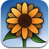 albums-organizes-your-photos-1 albums-organizes-your-photos-1