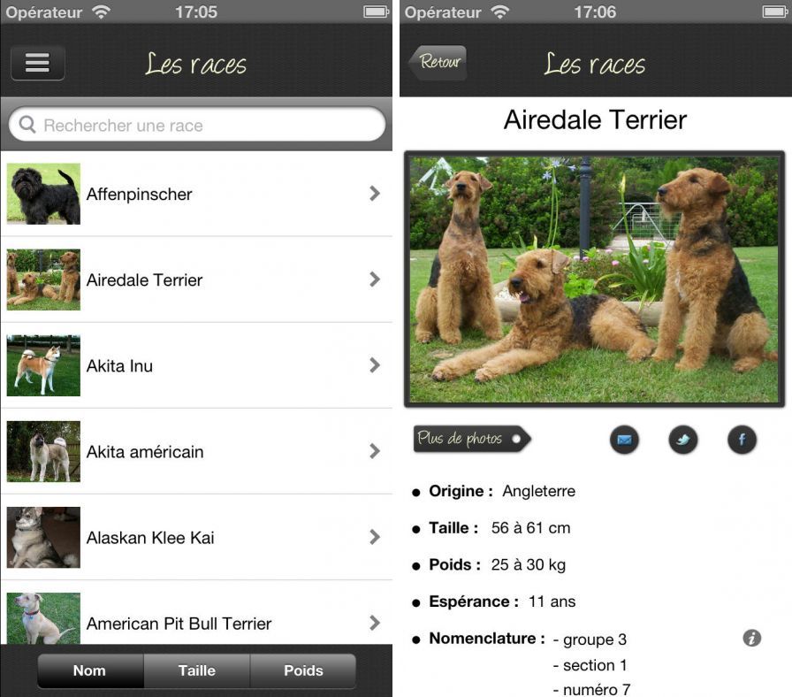 les-chiens les-chiens