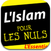 l-islam-pour-les-nuls-1 l-islam-pour-les-nuls-1