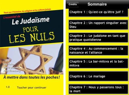 le-judab-sme-pour-les-nuls-1 le-judab-sme-pour-les-nuls-1