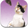 cat-cat-mouse-memory-game-for-people-who-love-cats-1