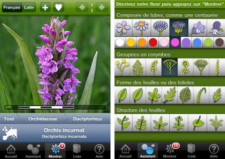 fleurs-en-poche-1 fleurs-en-poche-1