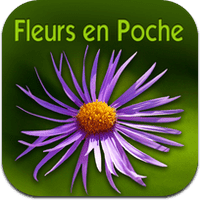 fleurs-en-poche-1 fleurs-en-poche-1