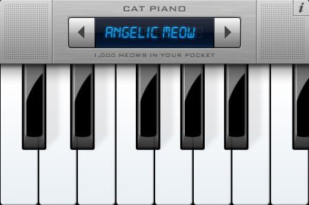 cat-piano-concerto cat-piano-concerto