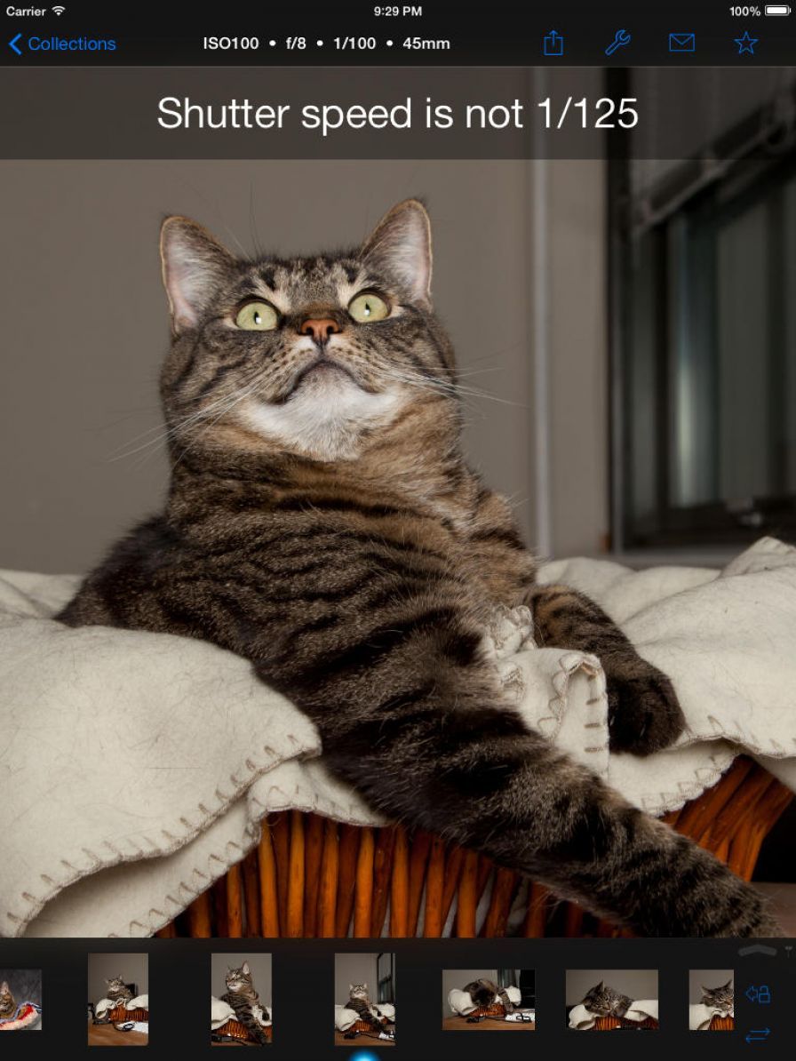 shuttersnitch ipa shuttersnitch ipa