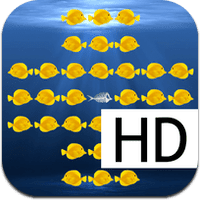 solidor-peg-hd-ipad solidor-peg-hd-ipad