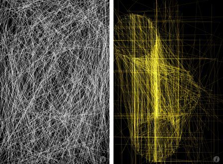 thicket-classic-1 thicket-classic-1