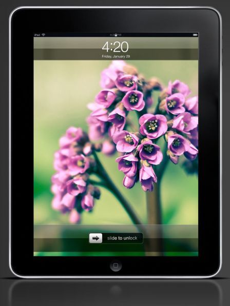 wallpaper-gallery-hd-ipad