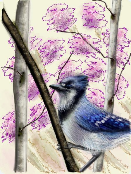 omnisketch-ipad omnisketch-ipad