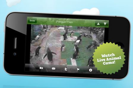 pocket-zoo-e-with-live-animal-cams pocket-zoo-e-with-live-animal-cams