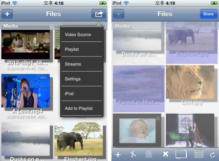 yxplayer-1 yxplayer-1