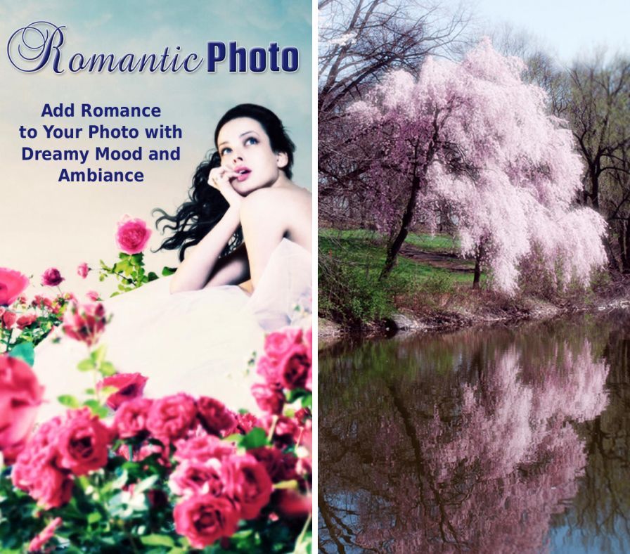 romantic-photo ipa