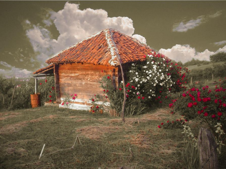 romantic-photo-hd ipa romantic-photo-hd ipa