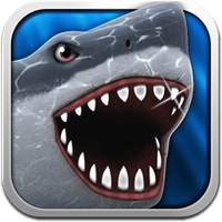 shark-adventure