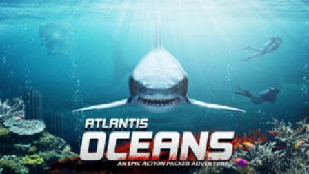 shark-adventure shark-adventure