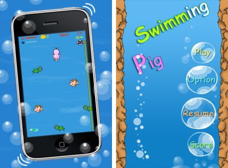 swimmingpig-1 swimmingpig-1