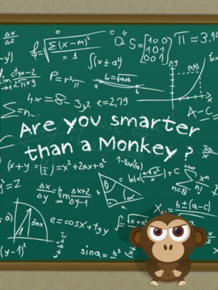 monkey-mind monkey-mind