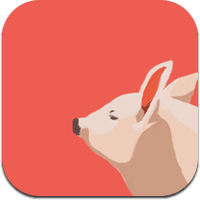pigmentcamera-1