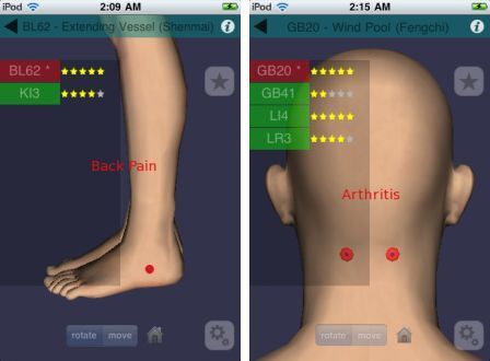 massage-map-3d-1 massage-map-3d-1