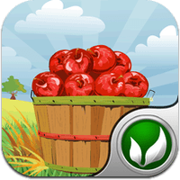 apple-rush apple-rush