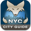 new-york-city-travel-guide-tripwolf-1