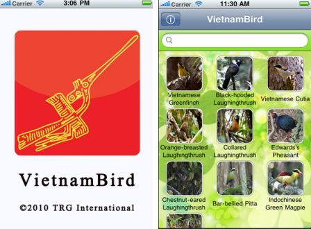 vietnambird-1