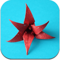 fleurs-origami
