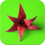 origami-flowers ipa ipad iphone origami-flowers ipa ipad iphone