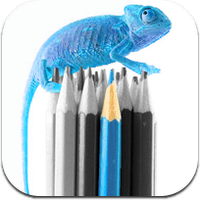 color-1 color-1