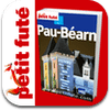 pau-bb-arn-petit-futb-guide-numb-rique-voyages-1
