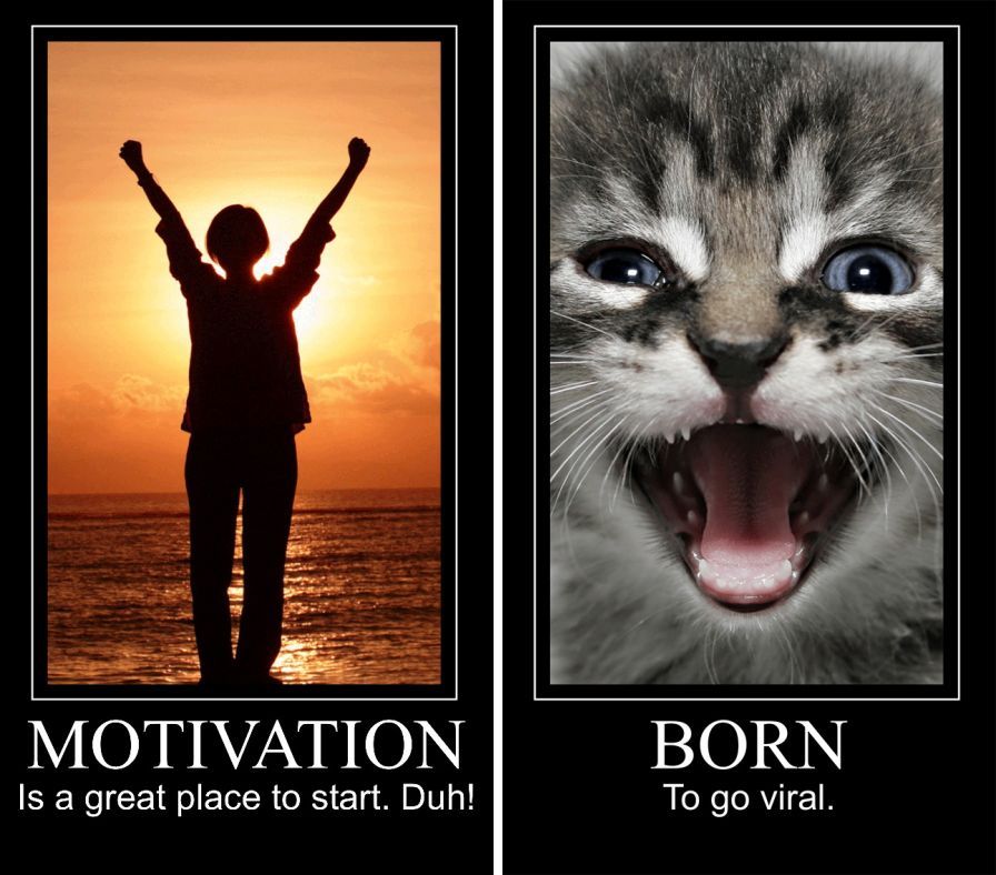 motivational-poster ipa motivational-poster ipa