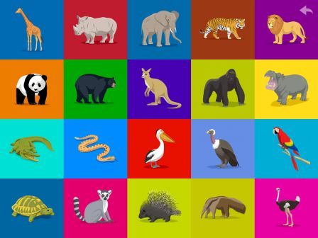 the-zoo-hd-ipad the-zoo-hd-ipad