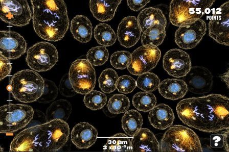 powers-of-minus-ten-cells-and-genetics powers-of-minus-ten-cells-and-genetics