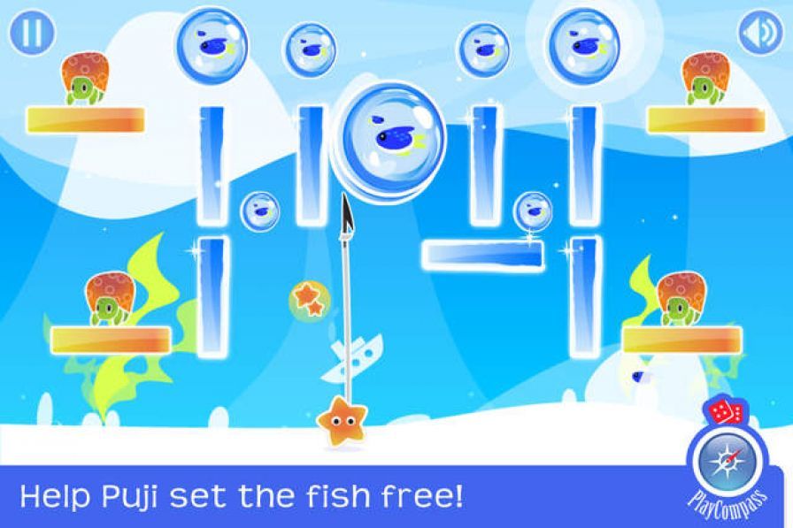 puji-s-shootout ipa puji-s-shootout ipa