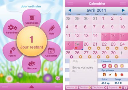 journal-des-rb-gles-period-diary-1