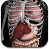 anatomy-3d-organs-ipad