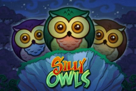 silly-owls silly-owls