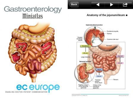 miniatlas-gastroenterology-1 miniatlas-gastroenterology-1