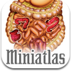 miniatlas-gastroenterology-1