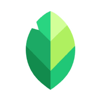 snapseed editeur photo icon