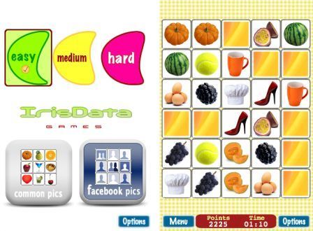 fb-facies-1 fb-facies-1