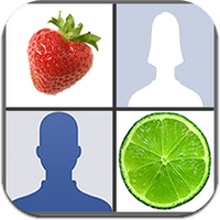 fb-facies-1 fb-facies-1