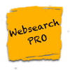 websearch-pro websearch-pro
