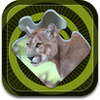 magic-puzzles-endangered-species-ipad